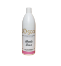 L'Oscar Monte Rosa Shampoo bei sensibler Katzenhaut 1000 ml